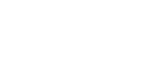 cropped patriot pass mirror logo